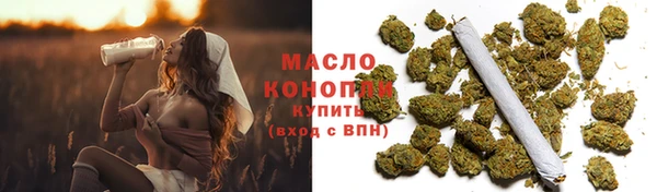 сатива Кадников