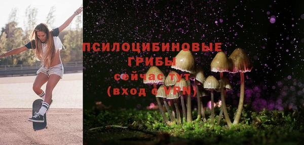 прущие крисы Семикаракорск
