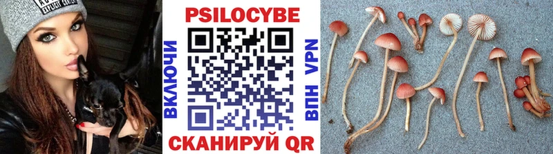 Псилоцибиновые грибы прущие грибы  shop как зайти  Светлый 